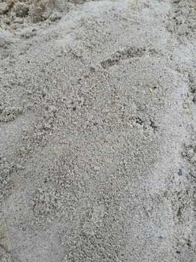 Resized_20180326_115412001.jpeg